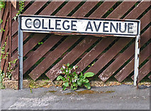 SK7517 : College Avenue sign by Andrew Tatlow