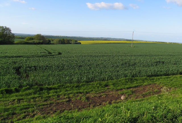 Fields north of A427