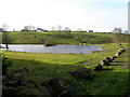 Trout fishery, Altanagh