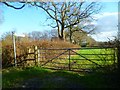 Footpath goes east from Bashurst Hill