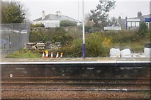 SX8060 : Totnes Station by N Chadwick