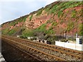SX9777 : Strata in the sandstone cliffs east of Dawlish by David Smith