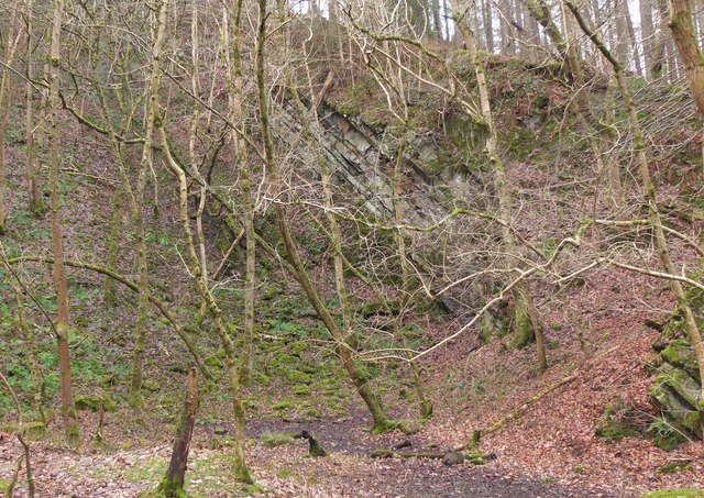 Rock outcrop at Gala Hill quarry (2)