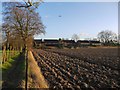 Ploughland at Osterley