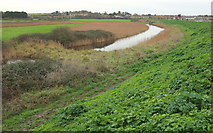 TF8444 : Drainage channel, Overy Marshes by Derek Harper