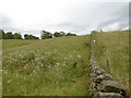 Fields near Mansegate