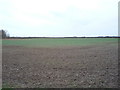 Farmland near Field House Farm