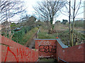 Childwell Alley - descent from railway footbridge