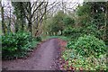 Footpath adjacent to Witan Way, Witney, Oxon