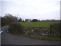 Field by Lawrence Lane, Buckland