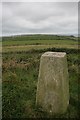 Trigpoint at Marloes Beacon