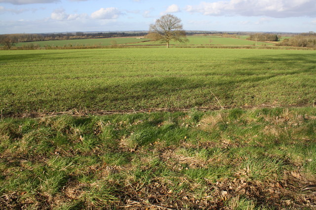 Farmland between Hinton Waldrist and Longworth