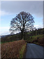 On the road from Llanuwchllyn to Bala