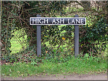 TG2403 : High Ash Lane (road sign) by Evelyn Simak