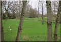 TQ2062 : Horton Park golf club by Hugh Venables