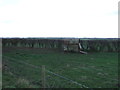 TA1455 : Grazing near Dringhoe Manor Farm by JThomas
