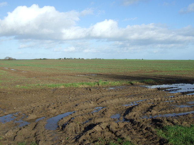 Muddy field near Dringhoe Manor Farm