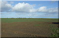 TA1555 : Large crop field, Dringhoe by JThomas
