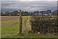 Footpath to Rowlinson