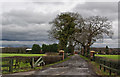 The track to Oxheys Farm