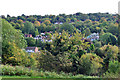 Trees and houses, Chipstead Valley