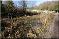 Canal above Arundel Aqueduct