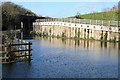 Restored Thames and Severn Canal