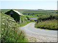 Lane to Titchberry in Devon