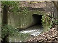 Ouseburn Culvert, Jesmond Vale