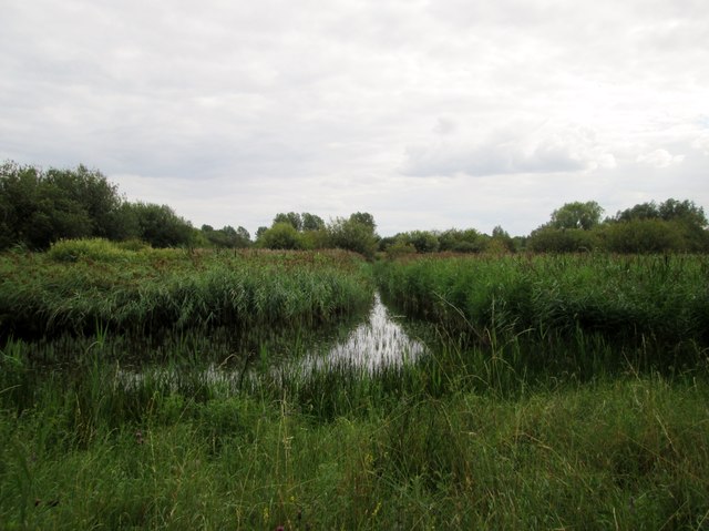 Reedbeds  and  open  water  RSPB  Fowlmere