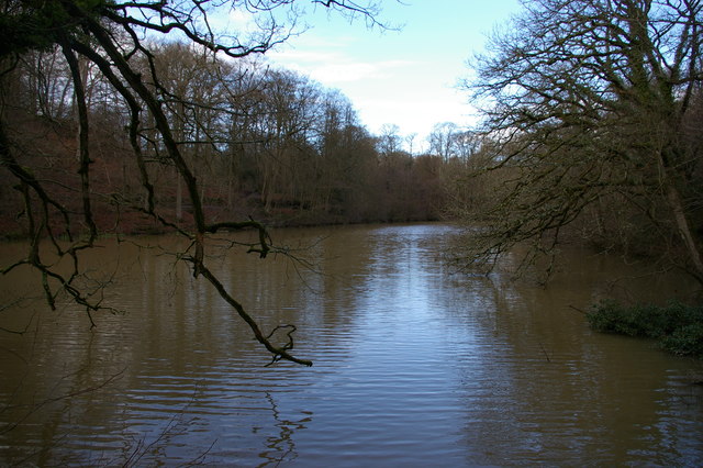 Fish Pond from the dam, Nymans