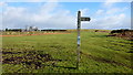 Bridleway sign on Brechfa Common