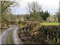 NY8673 : Castle Lane near Simonburn Rectory by Andrew Curtis