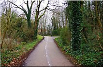 SP3509 : Cycleway and footpath. Witney, Oxon by P L Chadwick