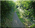 Path along the top of Barnton Tunnel