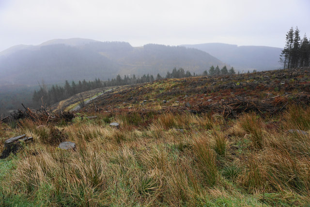 Cleared forest above Nant Einion