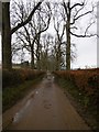 Flooded road, Knapp