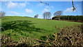 Hillside above Llanstephan