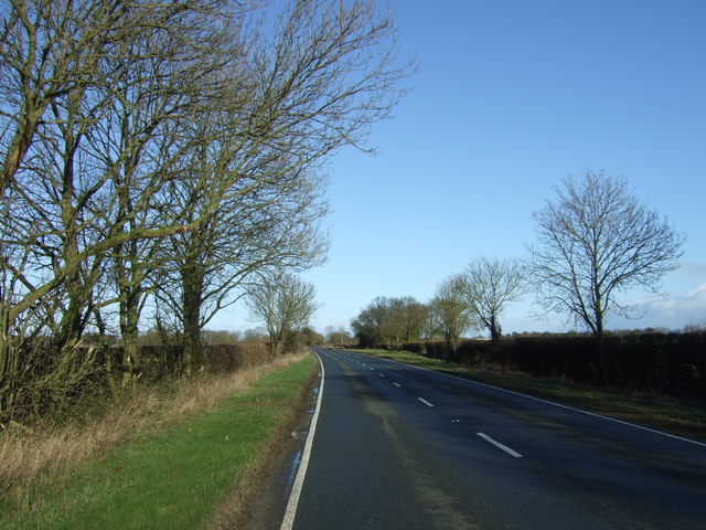 Lissett Lane (A165) 