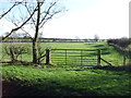 Field entrance off Fisher Lane