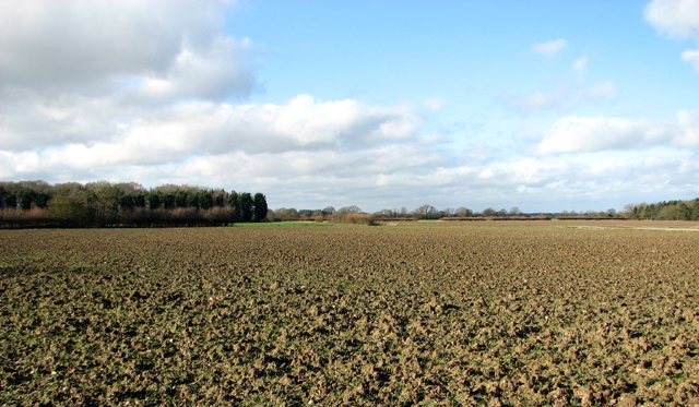 Crop fields by Long Covert