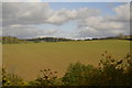 Farmland near Stoggy Lane