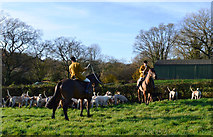 SU5370 : Excited hounds, Bucklebury, Berkshire by Oswald Bertram