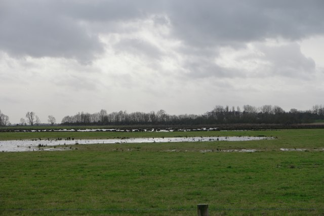 Wetlands at Willow Tree Fen