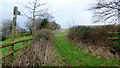 Herefordshire Trail north of The Oaks