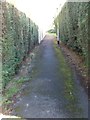 Footpath - Mallard Avenue