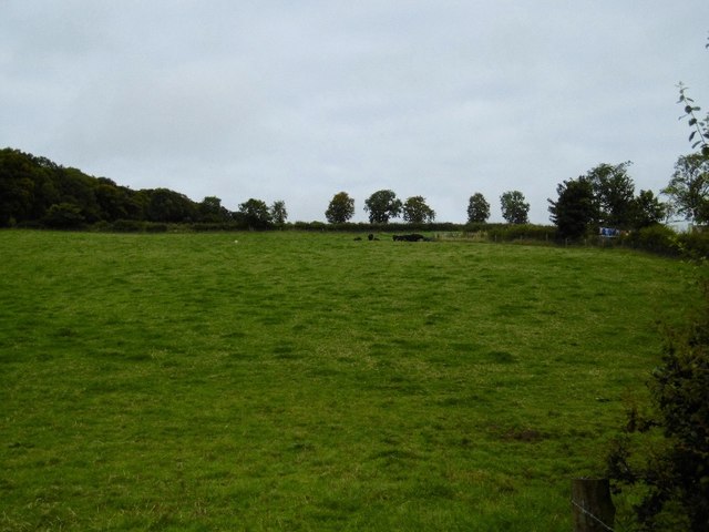 Field, The Brae © Richard Webb :: Geograph Britain and Ireland