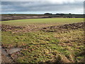 Wolds farmland