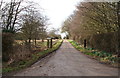 Track to Highfield Farm