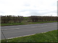 Lubards Lodge Perimeter Bridleway